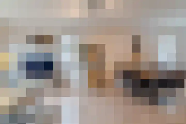 Prinses Amaliastraat 24 Dongen thumbnail 15