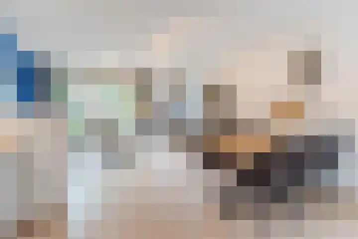 Prinses Amaliastraat 24 Dongen thumbnail 18