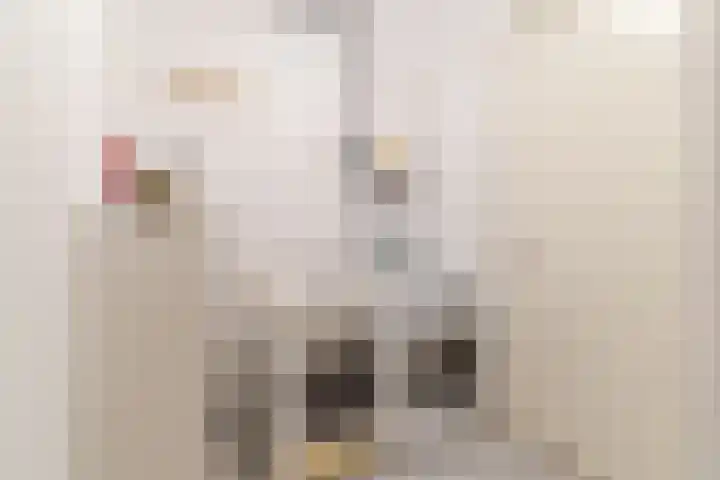 Prinses Amaliastraat 24 Dongen thumbnail 21