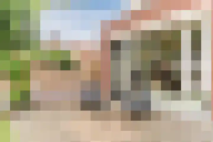 Prinses Amaliastraat 24 Dongen thumbnail 22