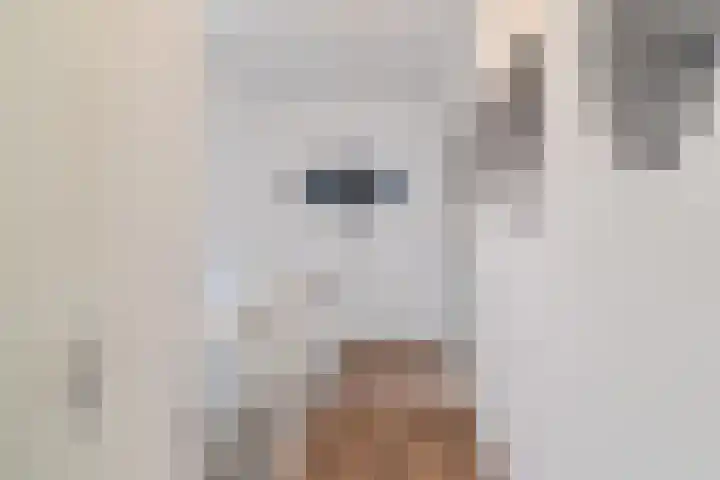 Prinses Amaliastraat 24 Dongen thumbnail 24