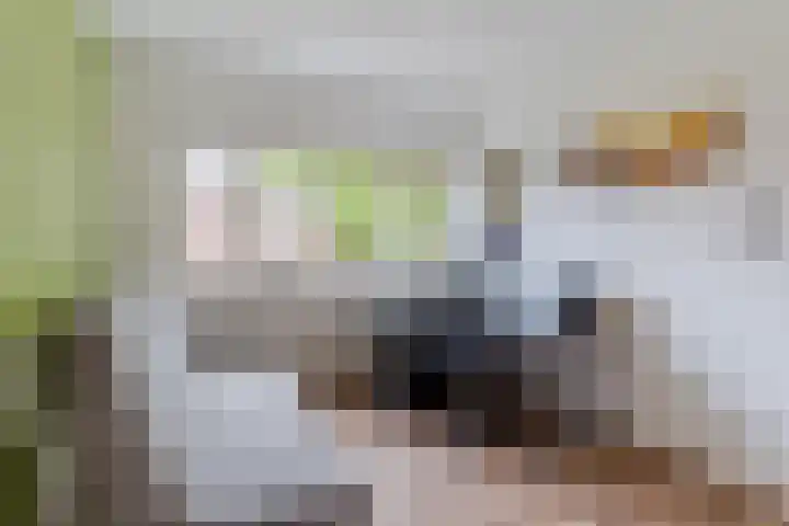 Prinses Amaliastraat 24 Dongen thumbnail 28
