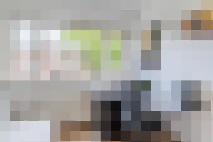 Prinses Amaliastraat 24 Dongen thumbnail 29