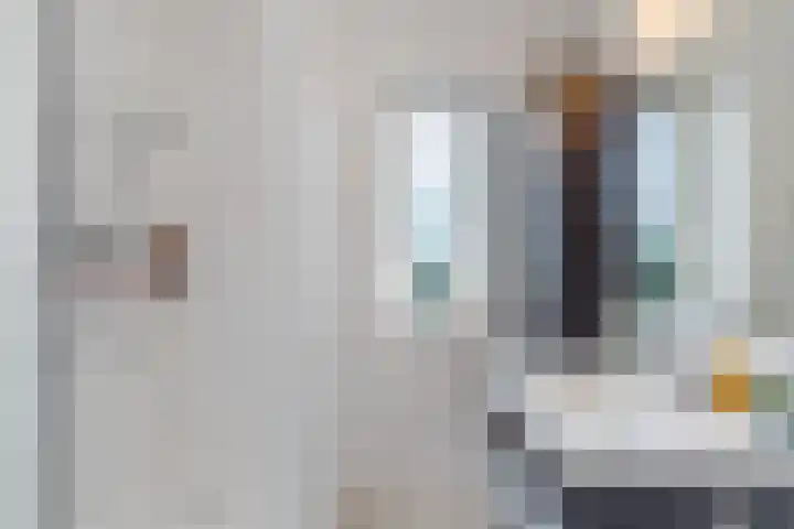 Prinses Amaliastraat 24 Dongen thumbnail 32