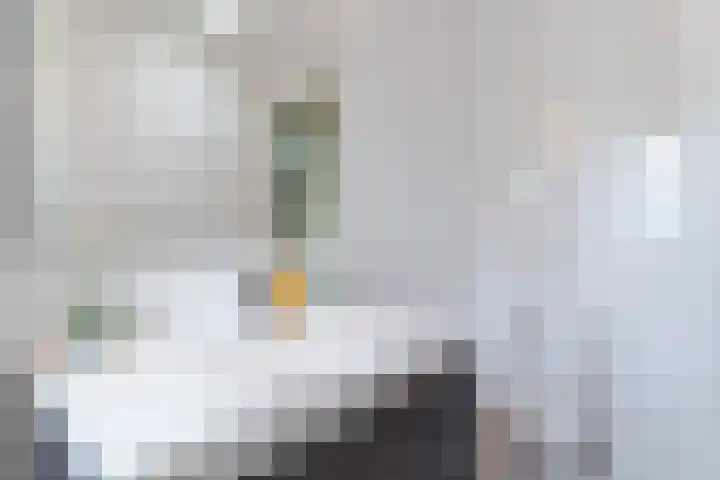Prinses Amaliastraat 24 Dongen thumbnail 33