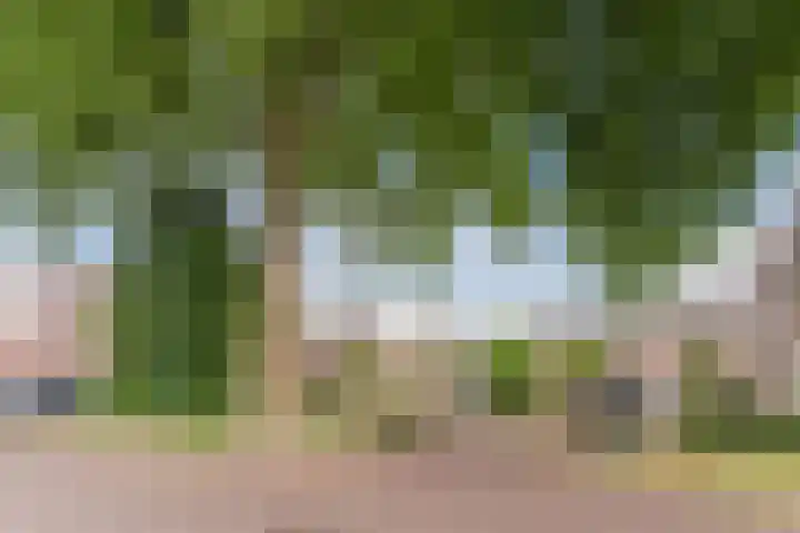 Prinses Amaliastraat 24 Dongen thumbnail 38