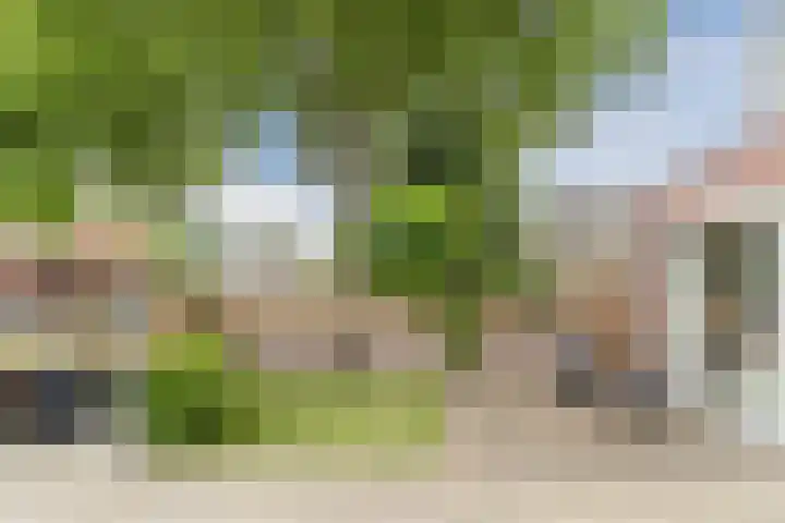Prinses Amaliastraat 24 Dongen thumbnail 4
