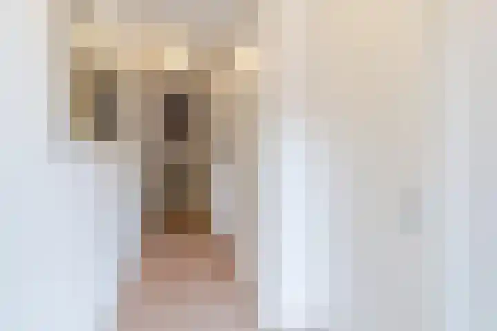 Prinses Amaliastraat 24 Dongen thumbnail 8