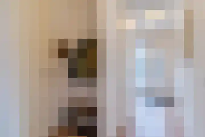 Prinses Amaliastraat 24 Dongen thumbnail 9