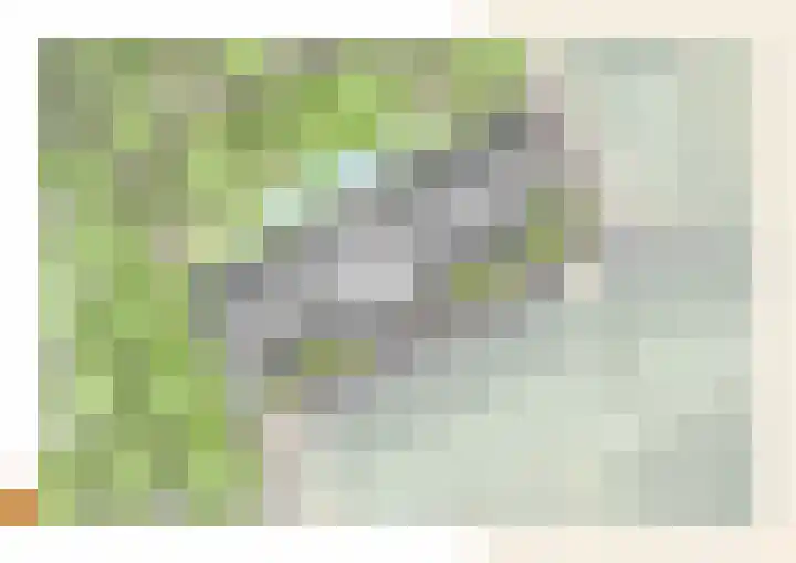 Prinses Amaliastraat 6 Oosterhout thumbnail 4