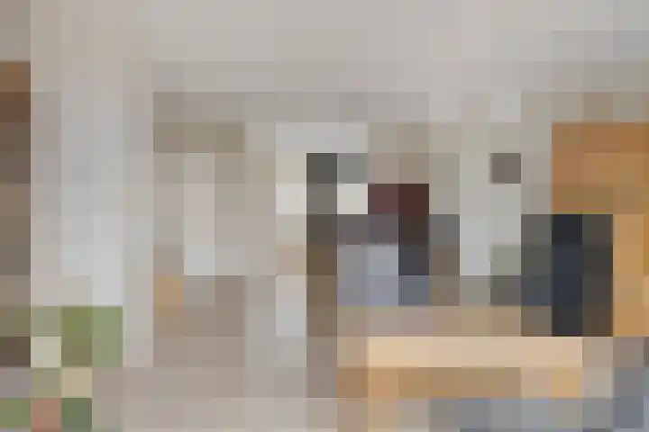 Prinses Amaliastraat 63 Dongen thumbnail 15