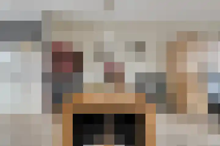 Prinses Amaliastraat 63 Dongen thumbnail 18