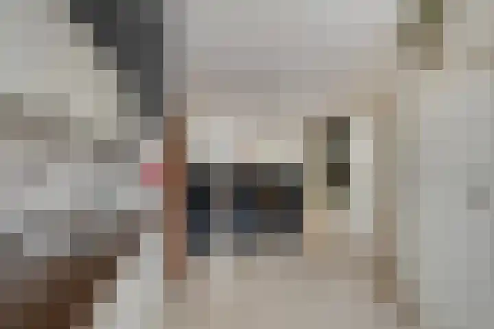 Prinses Amaliastraat 63 Dongen thumbnail 21