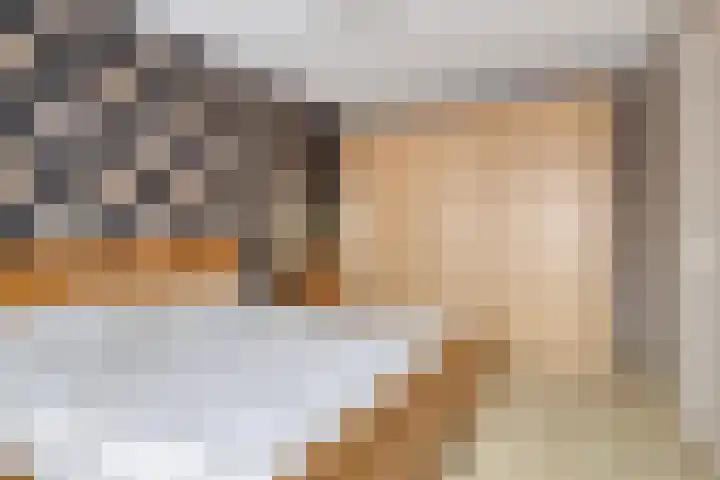 Prinses Amaliastraat 63 Dongen thumbnail 24