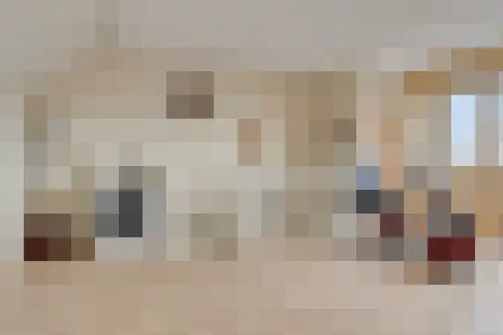 Prinses Amaliastraat 63 Dongen thumbnail 32