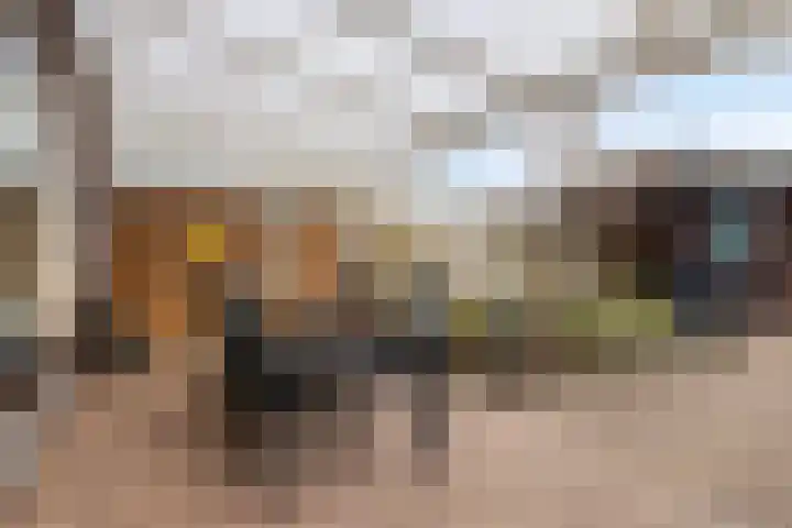 Prinses Amaliastraat 63 Dongen thumbnail 36