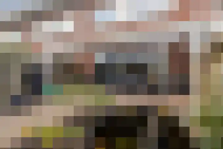Prinses Amaliastraat 63 Dongen thumbnail 38