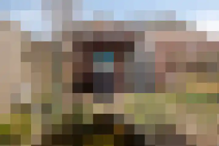 Prinses Amaliastraat 63 Dongen thumbnail 40