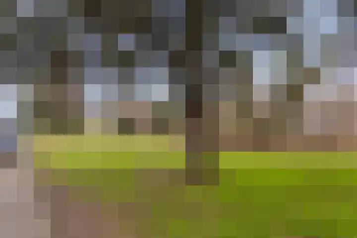 Prinses Amaliastraat 63 Dongen thumbnail 49