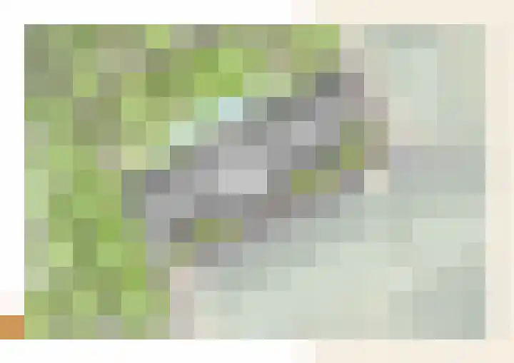 Prinses Amaliastraat 7 Oosterhout thumbnail 4