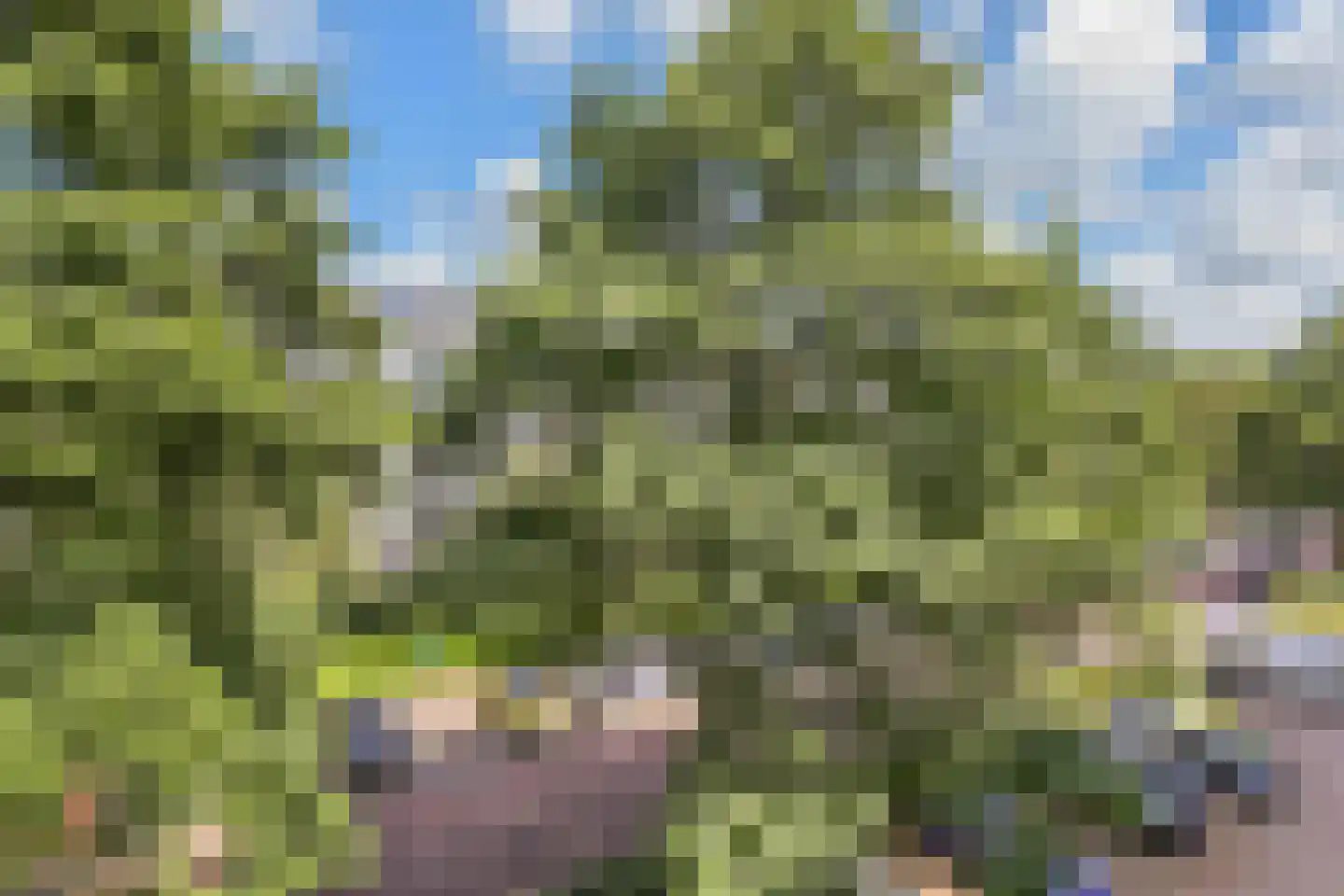 Prinses Annalaan 228 Leidschendam thumbnail 8