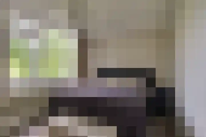 Prinses Annalaan 490 Leidschendam thumbnail 4