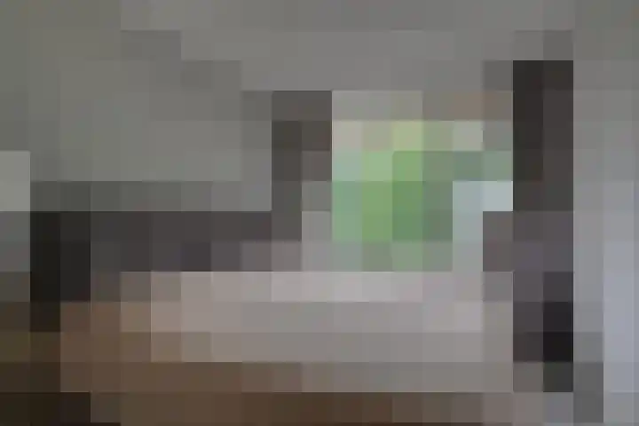 Prinses Annalaan 550 Leidschendam thumbnail 11