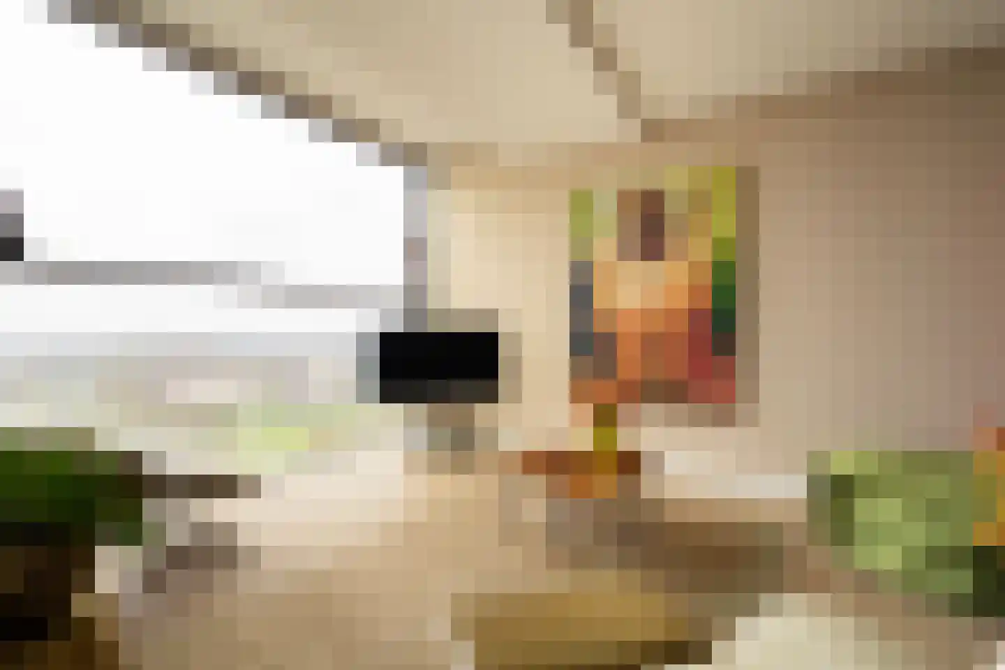 Prinses Ariane Promenade 162 Rijswijk thumbnail 5
