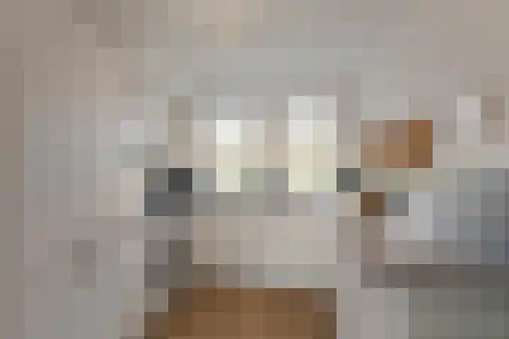 Prinses Arianehof 16 Julianadorp thumbnail 10