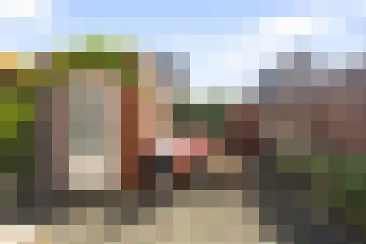 Prinses Arianehof 16 Julianadorp thumbnail 12