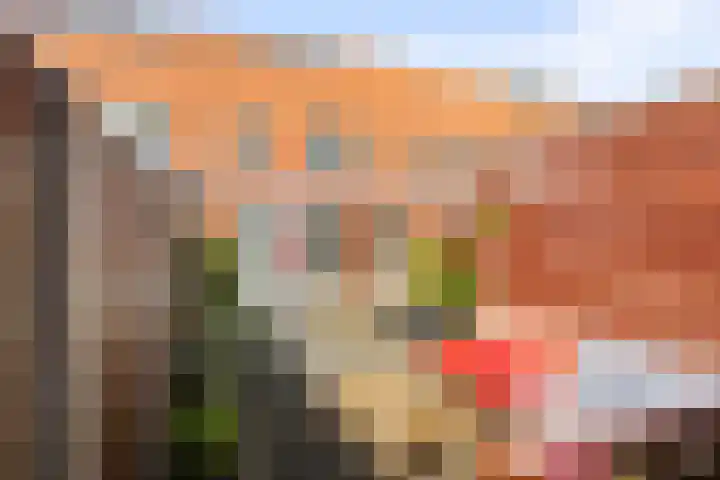 Prinses Arianehof 16 Julianadorp thumbnail 13