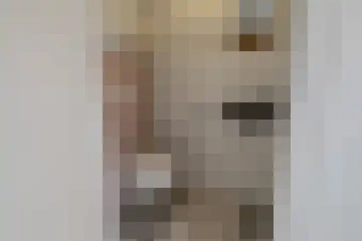 Prinses Arianehof 16 Julianadorp thumbnail 15