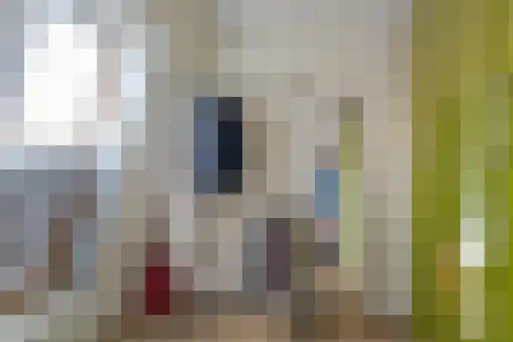 Prinses Arianehof 16 Julianadorp thumbnail 18
