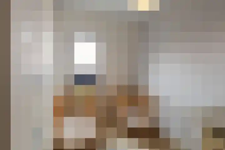 Prinses Arianehof 16 Julianadorp thumbnail 19