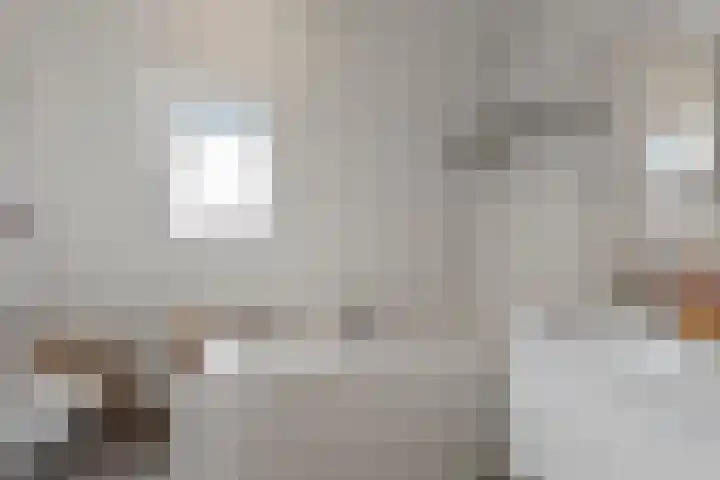 Prinses Arianehof 16 Julianadorp thumbnail 21