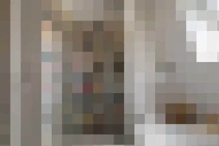 Prinses Arianehof 16 Julianadorp thumbnail 22