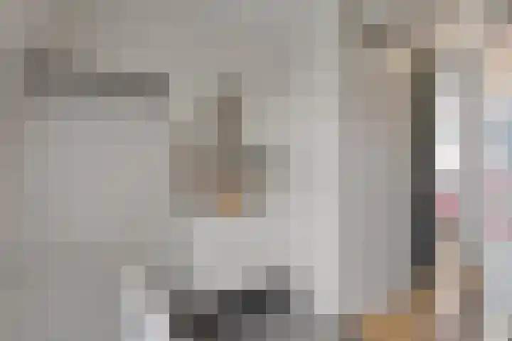 Prinses Arianehof 16 Julianadorp thumbnail 23