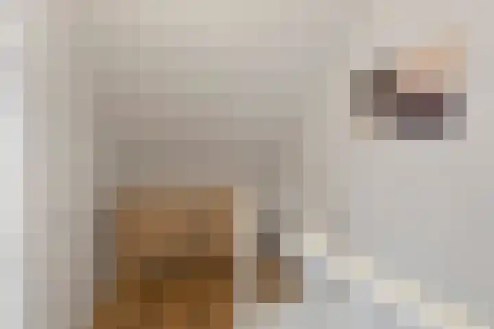 Prinses Arianehof 16 Julianadorp thumbnail 24