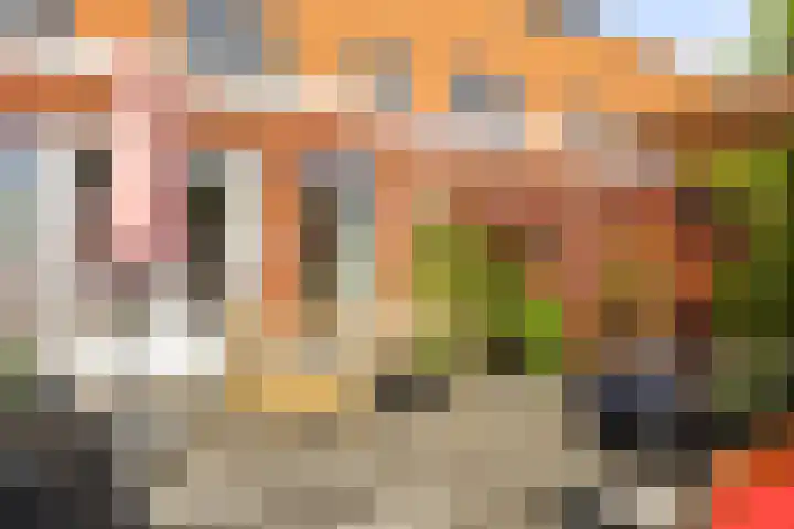 Prinses Arianehof 16 Julianadorp thumbnail 4