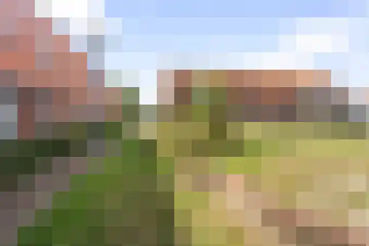 Prinses Arianehof 16 Julianadorp thumbnail 5