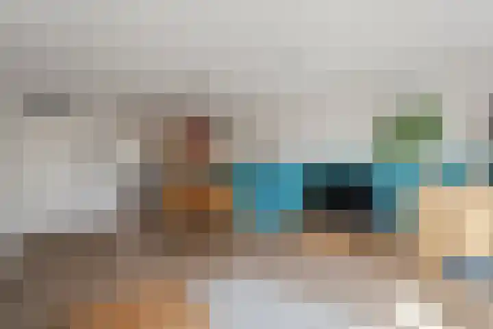 Prinses Arianehof 16 Julianadorp thumbnail 8