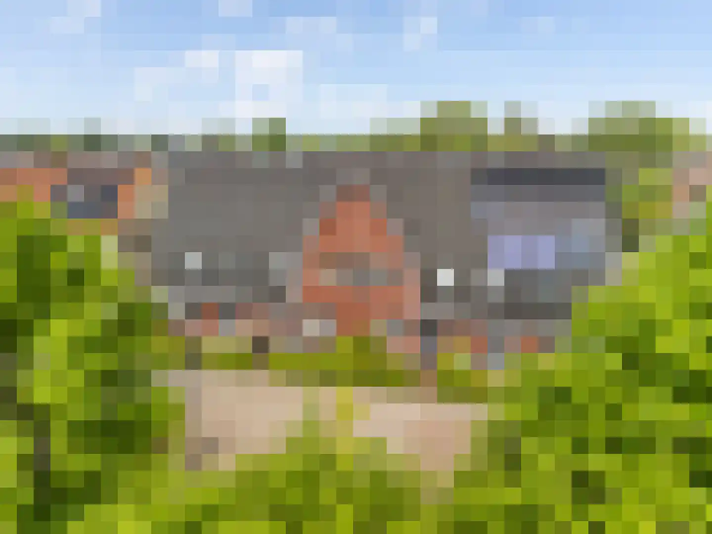 Prinses Arianelaan 5 Maartensdijk thumbnail 5