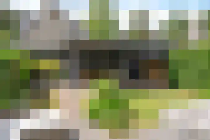 Prinses Arianelaan 5 Zeist thumbnail 19