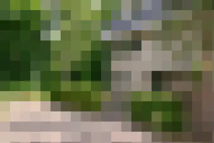 Prinses Arianelaan 5 Zeist thumbnail 22