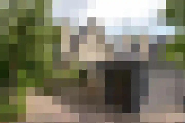 Prinses Arianelaan 5 Zeist thumbnail 23