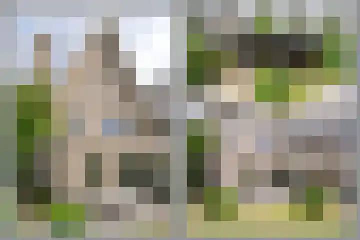 Prinses Arianelaan 5 Zeist thumbnail 24