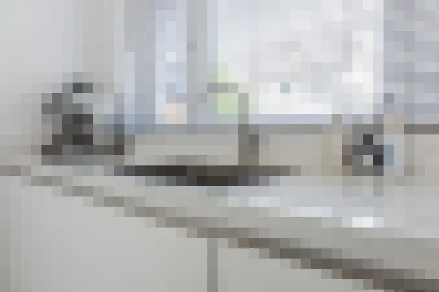 Prinses Arianestraat 18 Oosterhout thumbnail 10