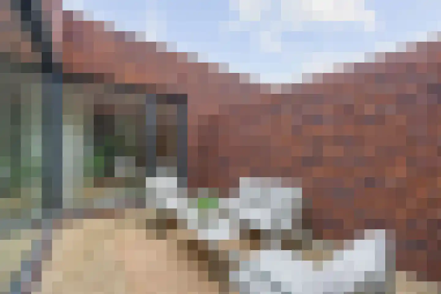 Prinses Arianestraat 98 Roermond thumbnail 21