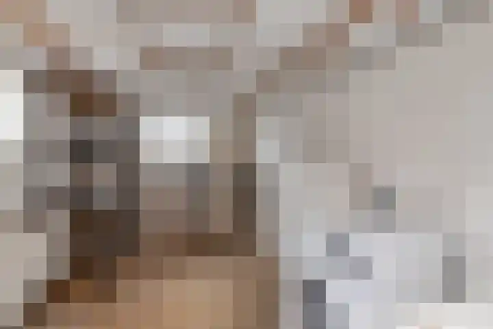 Prinses Beatrixlaan 1 De Meern thumbnail 24