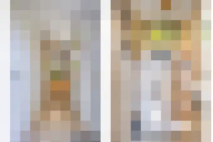 Prinses Beatrixlaan 1 Nieuwendijk thumbnail 11